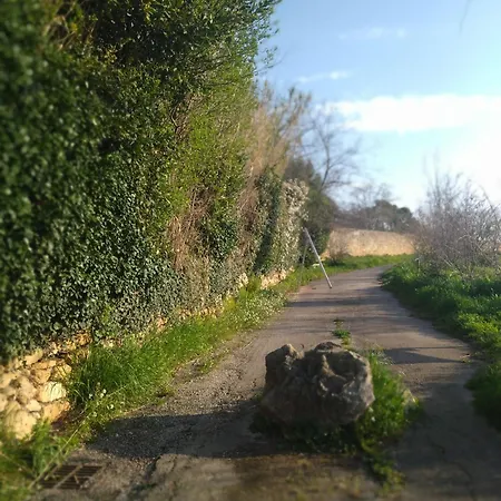 Calme,tranquille Et Verdure